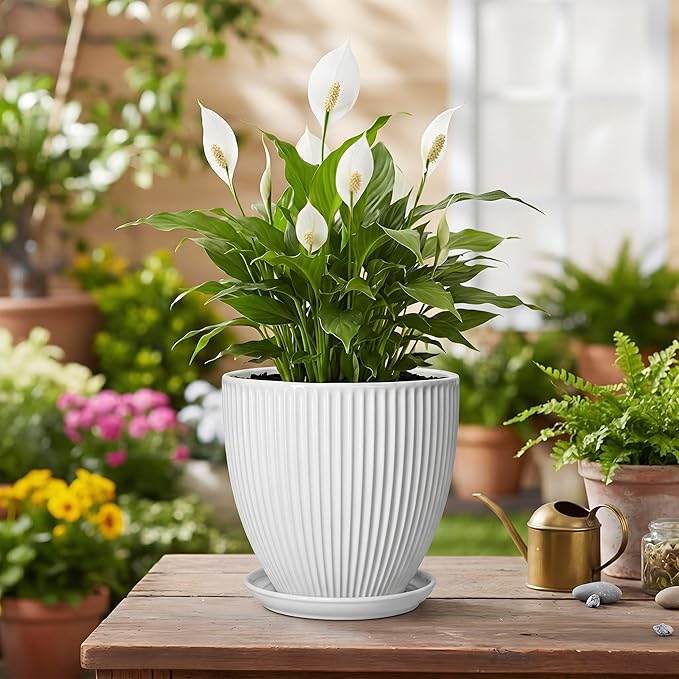 Ceramic Pots for Plants, 6 Inch Plant Pot with Drainage Hole and Saucer, Round Ceramic Flower Pots for Indoor Plants, Modern Small Succulent Planter, Room Home Decor, Plant Lover Gifts, White