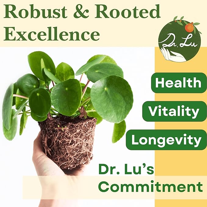 Dr. Lu’s Organic Chinese Money Plant (Pilea Peperomioides) | Rooted Friendship/UFO Plant | Rare House Plants for Good Fortune | Live Plants in 6'' Nursery Pot