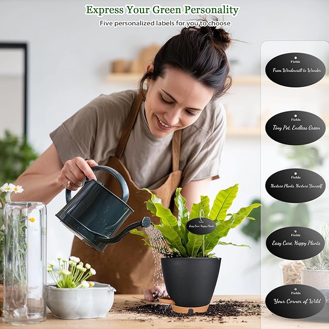 6 Inch Self Watering Pots for Indoor Plants(5-Pack) – Small Plastic Planters with Water Level Window, Drainage Holes & Detachable Trays, Indoor Outdoor Flower Pots for Herbs, Snake,Pothos(Black)