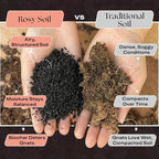 Rosy Soil Cactus and Succulent Potting Soil Mix for Houseplants - Fast Draining Organic Potting Soil for Succulents, AloeVera, Indoor Plant - Root Boosting for Drought Tolerant Growth, Pack of 2