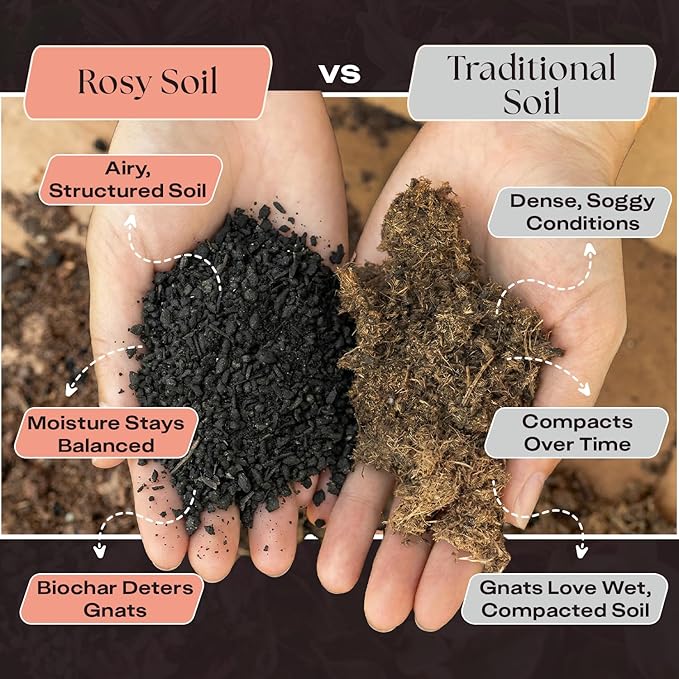 Rosy Soil Cactus and Succulent Organic Potting Soil Mix for House Plants - Fast Draining, Root Boosting, Peat-Free, Less Prone to Gnats - Drought-Tolerant -for AloeVera, Cacti, Indoor Succulents- 4qt