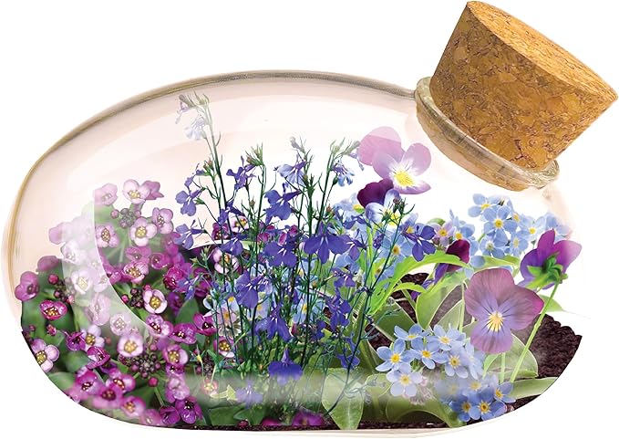 Unique Gardener Mini Office Flower Glass Terrarium Starter Kit with Complete Supplies - The Flowering Mouse Tiny Garden - Easy to Maintain IndoorPlants - Perfect for The Office Or Home Tabletop