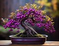 Beautyberry Bonsai Tree Seedling for Planting - 1 Year Old Well Rooted Seedling
