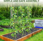 Compact A-Frame Plant Trellis for Peas, Beans & Small Climbing Plants - Rust-Resistant, Easy to Assemble, Lightweight Steel, Ideal for Raised Beds & Container Gardens(31" W x 47" H)