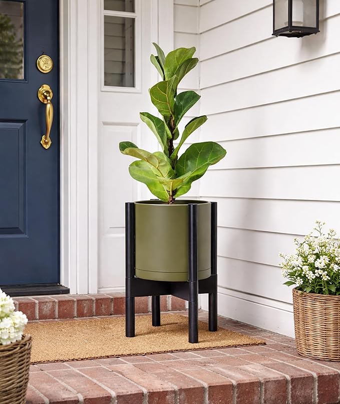 D'vine Dev Planter Pot with Stand - 8 Inch Plastic Cylinder Flower Pot with Wood Planter Holder for Indoor, Olive Pot + Ebony Stand, 55-C-K-3