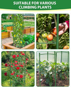 6 Pack Tomato Cages for Garden, 51in*13in Adjustable Tomatoes Plant Stakes Support Cages Trellis, Garden Trellis for Vegetable Flowers Fruits Climbing Plants- 20 Binding Wires Included
