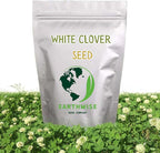 Earthwise White Dutch Clover Alternative Lawn Seed – Clover Seed, Low Maintenance, Nitrogen Fixing, Organic, Drought Tolerant, Pollinator Friendly, Pet Safe– Covers Up to 10,000 sq ft, 5 lb