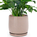 D'vine Dev 8 Inch Ceramic Beaded Stoneware Planter Pot - Flower Pot with Drainage Holes and Saucers for Indoor Succulent Plants or Flowers, Light Brown, 27-C-Q-4