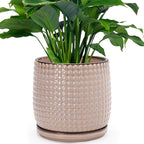 D'vine Dev 8 Inch Ceramic Beaded Stoneware Planter Pot - Flower Pot with Drainage Holes and Saucers for Indoor Succulent Plants or Flowers, Light Brown, 27-C-Q-4