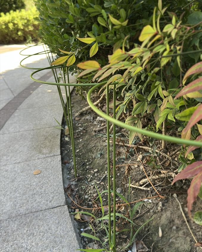 12-Pack Plant Support Stakes, Steel Stakes for Indoor Plants, Monstera & Peony Support, Tall Plant Sticks for Snake Plant, Climbing Vines, Metal Garden Stakes (10" W x 15.8" H)