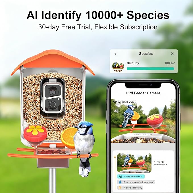 birdsnap® PAV-Bird Feeder with Camera,2K HD with 64GB Card, AI Identify Smart Bird House Cam Solar Panel,Live Stream,Motion Detection,Auto Record Video for Backyard Outdoors,Ideal Gift for Bird Lover