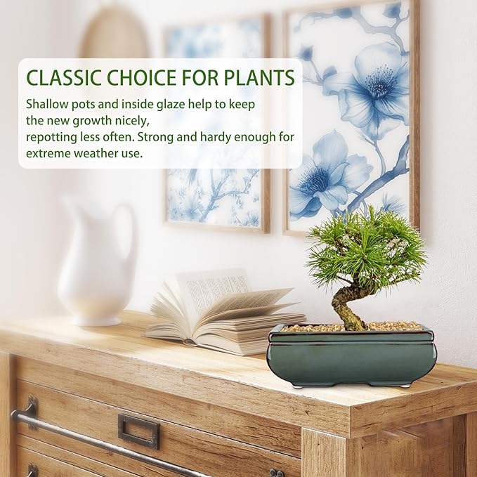Set of 2 Green Glazed Ceramic Bonsai Pots, 9.8" & 7.4" Shallow Bonsai Pots Planters with Drainage for Indoor/Outdoor Plants, Rectangular Bonzie Tree Pot for Succulents, Cacti, Orchids, Herbs, Flowers
