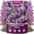 20000+pcs Creeping Thyme Seeds for Planting, Perennial Ground Cover Plants Heirloom Flowers Seeds Fragrant Herb Seeds for Lawns & Paths Garden