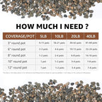 5LB Natural River Rocks, 1/4" Aquarium Gravel, Small Pebbles for Plants, Pea Gravel for Fish Tanks, Decorative Rocks for Gardening, Flower Pots, Vase Fillers, Indoor Fountains (10, Pounds) (5 LBS)