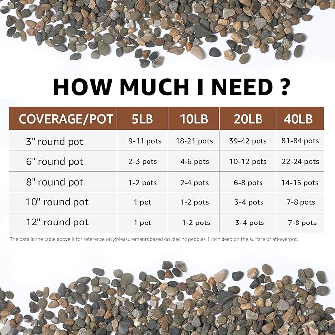 5LB Natural River Rocks, 1/4" Aquarium Gravel, Small Pebbles for Plants, Pea Gravel for Fish Tanks, Decorative Rocks for Gardening, Flower Pots, Vase Fillers, Indoor Fountains (10, Pounds) (5 LBS)