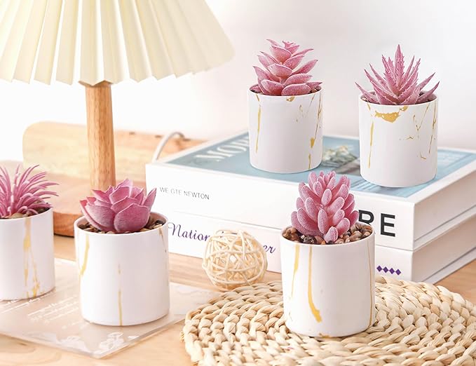 Der Rose 6 Pack Fake Plants Succulents Plants Artificial for Bathroom Home Office Desk Accessories for Women