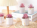 Der Rose 6 Pack Fake Plants Succulents Plants Artificial for Bathroom Home Office Desk Accessories for Women