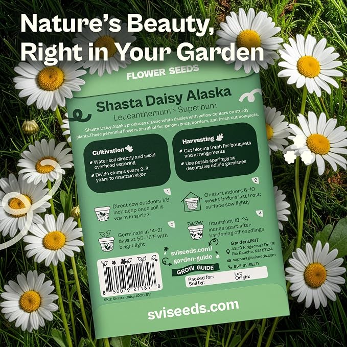 SVI 1000 Alaska Shasta Daisy Seeds (Leucanthemum) – White Daisy Flowers Seed Packets Bulk – Heirloom Wild Flowers, Perennial Flower Seeds for Indoor Garden & Outdoor Garden, Containers, Flower Beds