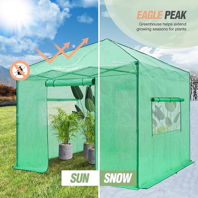 EAGLE PEAK 10x10 Portable Walk in Greenhouse, Pop Up Indoor Outdoor Greenhouse, Green House Kit with Zippered Roll-Up Doors and Windows, PE Cover, Clear/Green