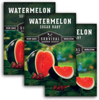Sugar Baby Watermelon Seeds - Grow Little Round Icebox Watermelons at Home - Non-GMO Heirloom Variety for Planting - Survival Garden Seeds (3 Pack)