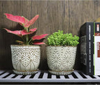 Gepege 6 Inch Beaded Ceramic Planter Set of 2 with Drainage Hole and Saucer for Plants, Indoor-Outdoor Large Round Succulent Orchid Flower Pot (Smoked Gray, Inner-pots not Larger Than 5 Inch)