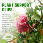 100 Pcs Plastic Plant Clip, Plant Support Clips for Support Tomato Grape Vine Vegetables, Reusable Trellis for Climbing Plants Outdoor, Plant Wall Clips to Grow Upright Makes Plants Healthier