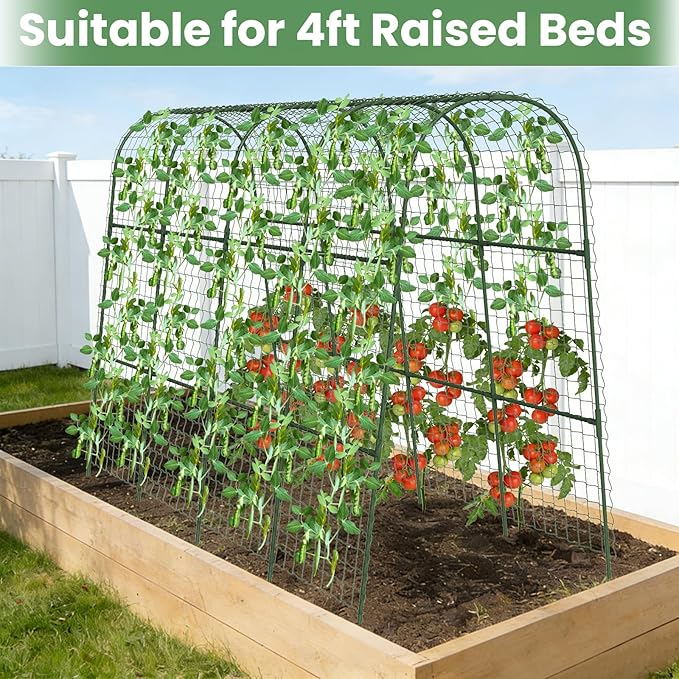 Cucumber Trellis, Metal Garden Arch Trellis for Raised Bed, 63 x 48inch U-Shape Garden Trellis for Climbing Plants Outdoor, Vegetables Fruit Plant Support with Netting, Gardening Supplies (Green)
