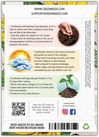 Seed Needs Sunflower Seeds for Planting Wild Sunflowers - Heirloom & Open Pollinated Flower Seed to Plant an Outdoor Wildflower Butterfly Garden (1 Pack)