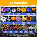 HOME GROWN Wildflower Seeds Mix - 49,100+ (2oz) Bulk Mix, 21 Varieties Wild Flower - Bee and Butterfly Garden Pack - Native Annual Flowers for Planting for Your Garden