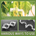 400Pcs Plant Support Clips,Plastic Tomato Support Clip,Garden Vine Clips for Climbing Plants,Stalk,Yrellis,Outdoor,Indoor,Greenhouse(White)