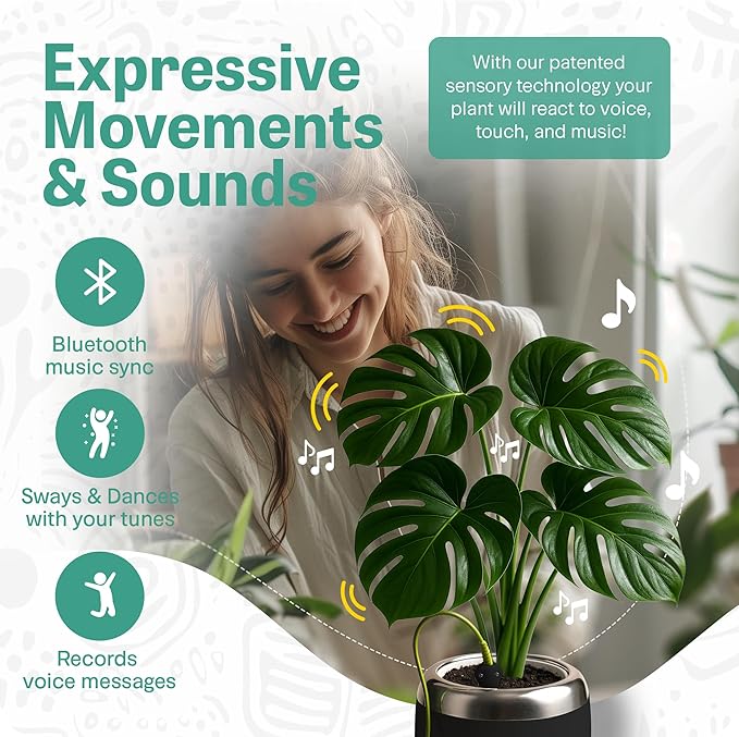PLANTPETZ Large Robotic Planter – Smart Planter Fits 4 Inch Pots | Bluetooth Speaker | Interactive Smart Plant Pot Turns A Real Plant Into a Touch/Motion Responsive Companion - Charcoal