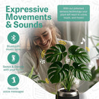 PLANTPETZ Large Robotic Planter – Smart Planter Fits 4 Inch Pots | Bluetooth Speaker | Interactive Smart Plant Pot Turns A Real Plant Into a Touch/Motion Responsive Companion - Charcoal