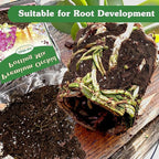 Orchid Potting Mix,1 Quart Premium Orchid Potting Mix for Repotting with Dried Forest Moss Perlite Stone Coco Peat and Pine Bark, Well-draining Orchid Bark Potting Mix