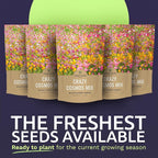 Bulk Cosmos Seeds Wildflower Mixture - 5 Pounds - Over 400,000 Seeds - Pink, Yellow, Orange, Red, Purple and White Mixed Species!