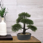 Artificial Bonsai Tree Juniper Faux Plants Indoor Small Fake Plants Decor with Black Plastic Pots for Home Table Office Desk Bathroom Shelf Bedroom Living Room Farmhouse Decorations