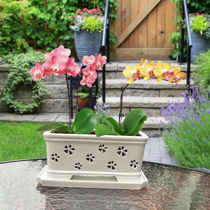 10 * 4.3 * 4.3Inch Rectangle Ceramic Orchid Pot with Holes & Saucer White Effective Drainage & Ventilation for Indoor Orchids ﻿