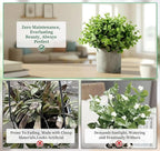 Lemonfilter Small Fake Plants, 5 Pack Mini Potted Artificial Eucalyptus Plant Greenery Plastic Fake Plants Faux Plant for Table Shelve Bathroom Kitchen Rustic Farmhouse Indoor Decor