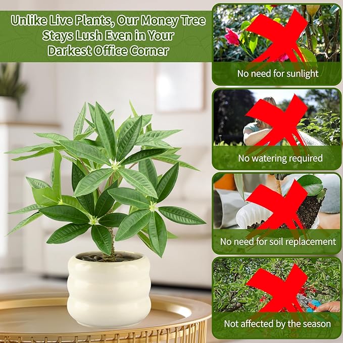 Small Money Tree Bonsai 11.4 inch Artificial Desk Plant in White Ceramic Pot, Realistic Indoor Faux Potted Pachira Money Plant for Home Office Living Room Decor(Maintenance Free)
