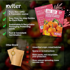 KVITER 50 Sugar Pumpkin Seeds Organic (Cucurbita Pepo) – Small Pumpkin Heirloom Seed, Sweet Fine-Grained Flesh for Canning & Pies – Vegetable Seeds for Planting in Outdoor Garden