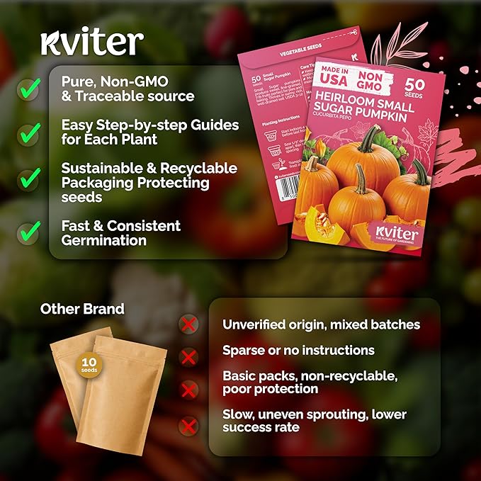KVITER 50 Sugar Pumpkin Seeds Organic (Cucurbita Pepo) – Small Pumpkin Heirloom Seed, Sweet Fine-Grained Flesh for Canning & Pies – Vegetable Seeds for Planting in Outdoor Garden