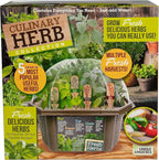 Herb Indoor Kitchen Window Garden Terrarium Starter Kit - Grow Your Own Basil, Oregano, Rosemary Sage, Cilantro, & Parsley - Includes Soil, Seeds & Complete Supplies - Unique Indoor House Plants