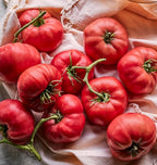 Burpee 'Mortgage Lifter' Heirloom, Beefsteak Tomato, 125 Non-GMO Seeds