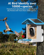 Bird Feeder with Camera, 2K Smart BirdCamera with Solar Powered, AI Identify Birds Species, Instant Arrival Alerts, 2.4Ghz WiFi Bird House for Outdoors, Ideal Gift for Family and Bird Lovers (Blue)