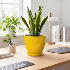 8 Inch Pots for Plants, Ceramic Plant Pots for Indoor Plants, Round Ceramic Planter with Drainage Hole and Saucer, Modern Decorative Plant Pot, Home Kitchen Decor, Women Men Gifts, Yellow