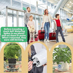 GreenShip 4-Pack Patented Self-Watering Spikes – DIY Plant Watering System for Indoor Plants, Fits Grower Pots, Reuse Containers, Automatic Self-Watering Stakes (Medium)