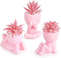 Der Rose Pink Artificial Succulents Plants Set of 3 Fake Artificial Plants Office Desk Accessories for Pink Room Bathroom Shelf Decor