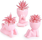 Der Rose Pink Artificial Succulents Plants Set of 3 Fake Artificial Plants Office Desk Accessories for Pink Room Bathroom Shelf Decor