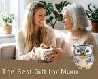 Saysmile Unique Owl Plant Pots Indoor, Cute Small Succulent Pots with Drainage Hole, Watering Owl Planters for Indoor Outdoor Plants, Resin Flower Pot for String of Pearls, Gift Ideas for Mother