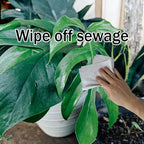 House Plant Leaf Cleaner - 3in1 Leaf Shine Set Microfiber Gloves for Indoor Plant Dusting