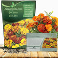 Outsidepride French Marigold Seeds Mix - 1 Lb. Annual, Compact, Heat & Drought Tolerant Flower Seeds for Planting w/Orange & Yellow Prolific Blooms, Ideal for Vibrant Pollinator Gardens